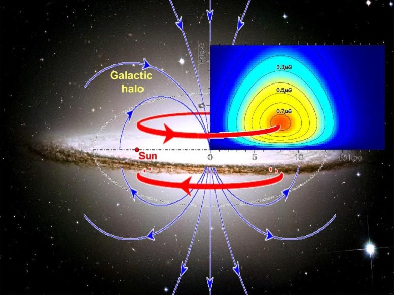 Magnetic fields in the Milky Way halo